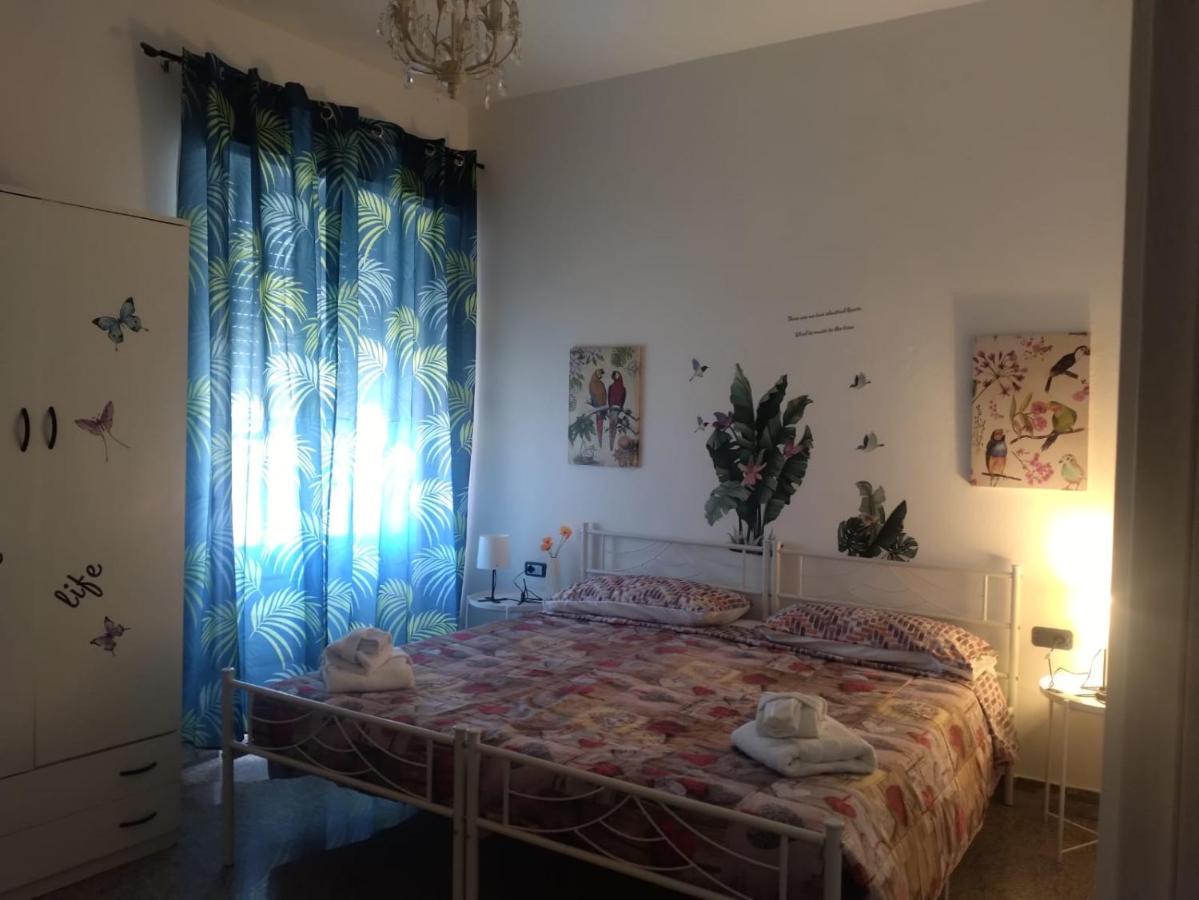 Giba Celeste المظهر الخارجي الصورة